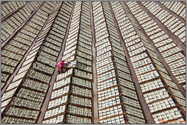 新竹米粉公會聯合網關於我們圖片